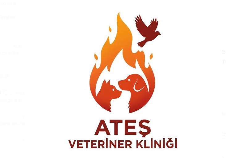 Ateş Veteriner